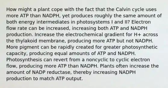 How might a plant cope with the fact that the Calvin cycle uses more ATP than NADPH, yet produces roughly the same amount of both energy intermediates in photosystems I and II? Electron flow rate can be increased, increasing both ATP and NADPH production. Increase the electrochemical gradient for H+ across the thylakoid membrane, producing more ATP but not NADPH. More pigment can be rapidly created for greater photosynthetic capacity, producing equal amounts of ATP and NADPH. Photosynthesis can revert from a noncyclic to <a href='https://www.questionai.com/knowledge/ktXlRGlV4V-cyclic-electron-flow' class='anchor-knowledge'>cyclic electron flow</a>, producing more ATP than NADPH. Plants often increase the amount of NADP reductase, thereby increasing NADPH production to match ATP output.