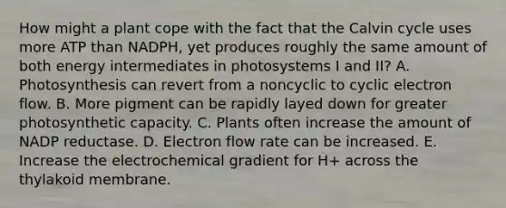 How might a plant cope with the fact that the Calvin cycle uses more ATP than NADPH, yet produces roughly the same amount of both energy intermediates in photosystems I and II? A. Photosynthesis can revert from a noncyclic to cyclic electron flow. B. More pigment can be rapidly layed down for greater photosynthetic capacity. C. Plants often increase the amount of NADP reductase. D. Electron flow rate can be increased. E. Increase the electrochemical gradient for H+ across the thylakoid membrane.