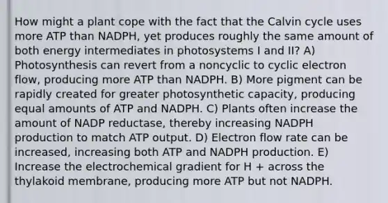 How might a plant cope with the fact that the Calvin cycle uses more ATP than NADPH, yet produces roughly the same amount of both energy intermediates in photosystems I and II? A) Photosynthesis can revert from a noncyclic to cyclic electron flow, producing more ATP than NADPH. B) More pigment can be rapidly created for greater photosynthetic capacity, producing equal amounts of ATP and NADPH. C) Plants often increase the amount of NADP reductase, thereby increasing NADPH production to match ATP output. D) Electron flow rate can be increased, increasing both ATP and NADPH production. E) Increase the electrochemical gradient for H + across the thylakoid membrane, producing more ATP but not NADPH.