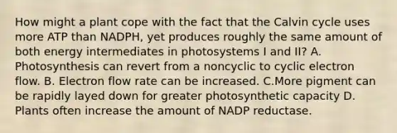 How might a plant cope with the fact that the Calvin cycle uses more ATP than NADPH, yet produces roughly the same amount of both energy intermediates in photosystems I and II? A. Photosynthesis can revert from a noncyclic to cyclic electron flow. B. Electron flow rate can be increased. C.More pigment can be rapidly layed down for greater photosynthetic capacity D. Plants often increase the amount of NADP reductase.