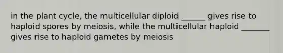 in the plant cycle, the multicellular diploid ______ gives rise to haploid spores by meiosis, while the multicellular haploid _______ gives rise to haploid gametes by meiosis