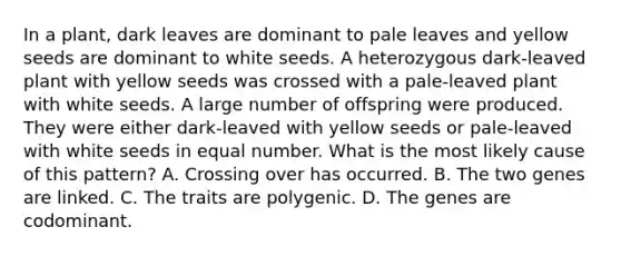 In a plant, dark leaves are dominant to pale leaves and yellow seeds are dominant to white seeds. A heterozygous dark-leaved plant with yellow seeds was crossed with a pale-leaved plant with white seeds. A large number of offspring were produced. They were either dark-leaved with yellow seeds or pale-leaved with white seeds in equal number. What is the most likely cause of this pattern? A. Crossing over has occurred. B. The two genes are linked. C. The traits are polygenic. D. The genes are codominant.