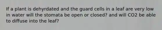 If a plant is dehyrdated and the guard cells in a leaf are very low in water will the stomata be open or closed? and will CO2 be able to diffuse into the leaf?