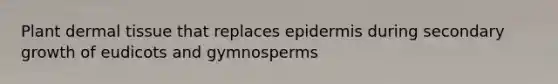 Plant <a href='https://www.questionai.com/knowledge/kRKdINDJId-dermal-tissue' class='anchor-knowledge'>dermal tissue</a> that replaces epidermis during secondary growth of eudicots and gymnosperms