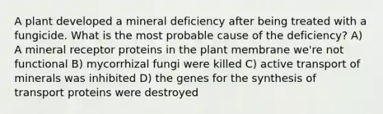 A plant developed a mineral deficiency after being treated with a fungicide. What is the most probable cause of the deficiency? A) A mineral receptor proteins in the plant membrane we're not functional B) mycorrhizal fungi were killed C) active transport of minerals was inhibited D) the genes for the synthesis of transport proteins were destroyed