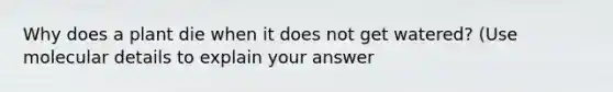 Why does a plant die when it does not get watered? (Use molecular details to explain your answer