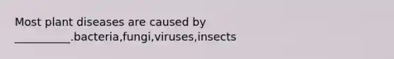 Most plant diseases are caused by __________.bacteria,fungi,viruses,insects