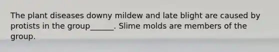 The plant diseases downy mildew and late blight are caused by protists in the group______. Slime molds are members of the group.