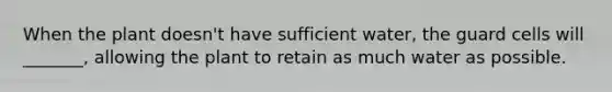 When the plant doesn't have sufficient water, the guard cells will _______, allowing the plant to retain as much water as possible.