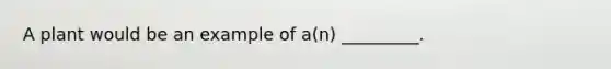 A plant would be an example of a(n) _________.