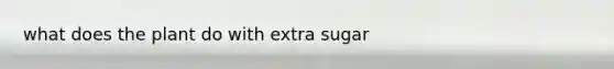 what does the plant do with extra sugar