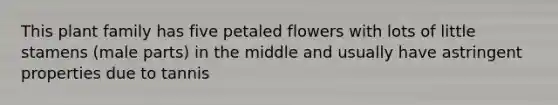 This plant family has five petaled flowers with lots of little stamens (male parts) in the middle and usually have astringent properties due to tannis