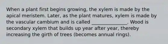 When a plant first begins growing, the xylem is made by the apical meristem. Later, as the plant matures, xylem is made by the vascular cambium and is called _______________. Wood is secondary xylem that builds up year after year, thereby increasing the girth of trees (becomes annual rings).