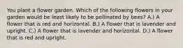 You plant a flower garden. Which of the following flowers in your garden would be least likely to be pollinated by bees? A.) A flower that is red and horizontal. B.) A flower that is lavender and upright. C.) A flower that is lavender and horizontal. D.) A flower that is red and upright.