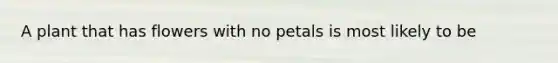 A plant that has flowers with no petals is most likely to be