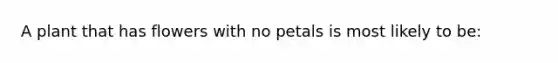 A plant that has flowers with no petals is most likely to be: