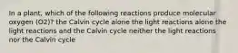 In a plant, which of the following reactions produce molecular oxygen (O2)? the Calvin cycle alone the light reactions alone the light reactions and the Calvin cycle neither the light reactions nor the Calvin cycle