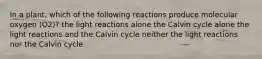 In a plant, which of the following reactions produce molecular oxygen (O2)? the light reactions alone the Calvin cycle alone the light reactions and the Calvin cycle neither the light reactions nor the Calvin cycle