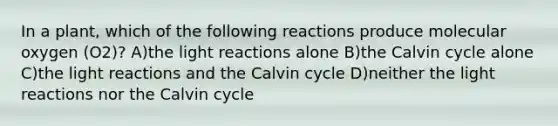 In a plant, which of the following reactions produce molecular oxygen (O2)? A)the light reactions alone B)the Calvin cycle alone C)the light reactions and the Calvin cycle D)neither the light reactions nor the Calvin cycle