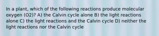 In a plant, which of the following reactions produce molecular oxygen (O2)? A) the Calvin cycle alone B) the light reactions alone C) the light reactions and the Calvin cycle D) neither the light reactions nor the Calvin cycle