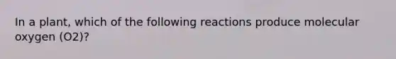 In a plant, which of the following reactions produce molecular oxygen (O2)?