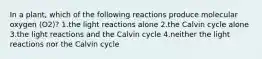 In a plant, which of the following reactions produce molecular oxygen (O2)? 1.the light reactions alone 2.the Calvin cycle alone 3.the light reactions and the Calvin cycle 4.neither the light reactions nor the Calvin cycle