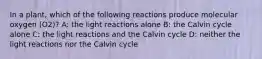 In a plant, which of the following reactions produce molecular oxygen (O2)? A: the light reactions alone B: the Calvin cycle alone C: the light reactions and the Calvin cycle D: neither the light reactions nor the Calvin cycle