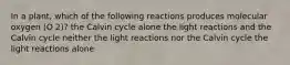 In a plant, which of the following reactions produces molecular oxygen (O 2)? the Calvin cycle alone the light reactions and the Calvin cycle neither the light reactions nor the Calvin cycle the light reactions alone