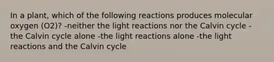 In a plant, which of the following reactions produces molecular oxygen (O2)? -neither the light reactions nor the Calvin cycle -the Calvin cycle alone -the light reactions alone -the light reactions and the Calvin cycle