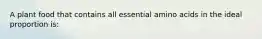 A plant food that contains all essential amino acids in the ideal proportion is: