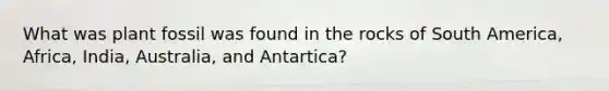 What was plant fossil was found in the rocks of South America, Africa, India, Australia, and Antartica?