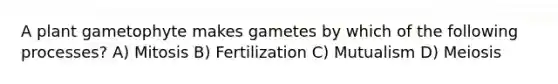 A plant gametophyte makes gametes by which of the following processes? A) Mitosis B) Fertilization C) Mutualism D) Meiosis