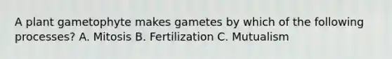 A plant gametophyte makes gametes by which of the following processes? A. Mitosis B. Fertilization C. Mutualism