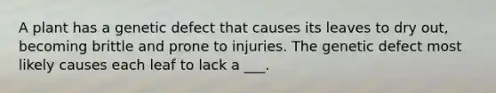 A plant has a genetic defect that causes its leaves to dry out, becoming brittle and prone to injuries. The genetic defect most likely causes each leaf to lack a ___.