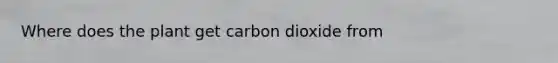 Where does the plant get carbon dioxide from