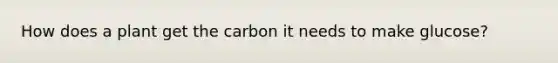 How does a plant get the carbon it needs to make glucose?