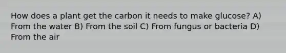 How does a plant get the carbon it needs to make glucose? A) From the water B) From the soil C) From fungus or bacteria D) From the air