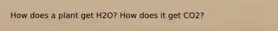 How does a plant get H2O? How does it get CO2?