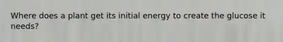 Where does a plant get its initial energy to create the glucose it needs?