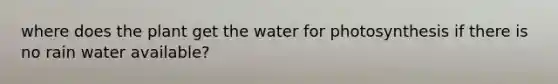 where does the plant get the water for photosynthesis if there is no rain water available?