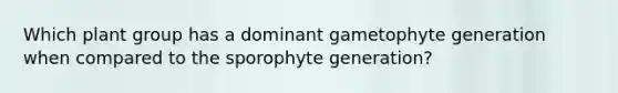 Which plant group has a dominant gametophyte generation when compared to the sporophyte generation?