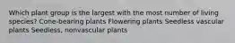 Which plant group is the largest with the most number of living species? Cone-bearing plants Flowering plants Seedless vascular plants Seedless, nonvascular plants