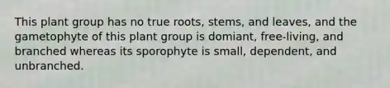 This plant group has no true roots, stems, and leaves, and the gametophyte of this plant group is domiant, free-living, and branched whereas its sporophyte is small, dependent, and unbranched.