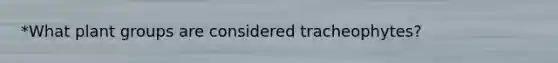 *What plant groups are considered tracheophytes?