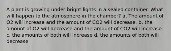 A plant is growing under bright lights in a sealed container. What will happen to the atmosphere in the chamber? a. The amount of O2 will increase and the amount of CO2 will decrease. b. the amount of O2 will decrease and the amount of CO2 will increase c. the amounts of both will increase d. the amounts of both will decrease