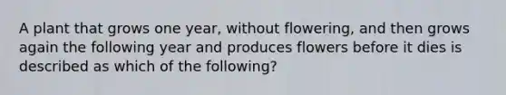 A plant that grows one year, without flowering, and then grows again the following year and produces flowers before it dies is described as which of the following?