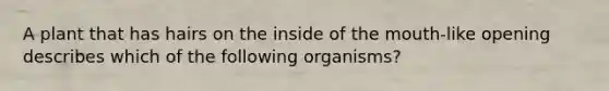 A plant that has hairs on the inside of the mouth-like opening describes which of the following organisms?