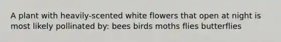 A plant with heavily-scented white flowers that open at night is most likely pollinated by: bees birds moths flies butterflies