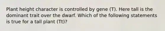 Plant height character is controlled by gene (T). Here tall is the dominant trait over the dwarf. Which of the following statements is true for a tall plant (Tt)?