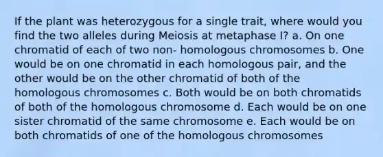 If the plant was heterozygous for a single trait, where would you find the two alleles during Meiosis at metaphase I? a. On one chromatid of each of two non- homologous chromosomes b. One would be on one chromatid in each homologous pair, and the other would be on the other chromatid of both of the homologous chromosomes c. Both would be on both chromatids of both of the homologous chromosome d. Each would be on one sister chromatid of the same chromosome e. Each would be on both chromatids of one of the homologous chromosomes